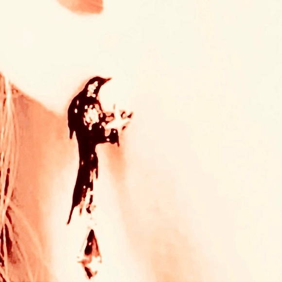 “Raven” Edgar Poe Perched Crow Bird Star Blood Droplet Macabre Gothic Grim Studs - Picture 14 of 16